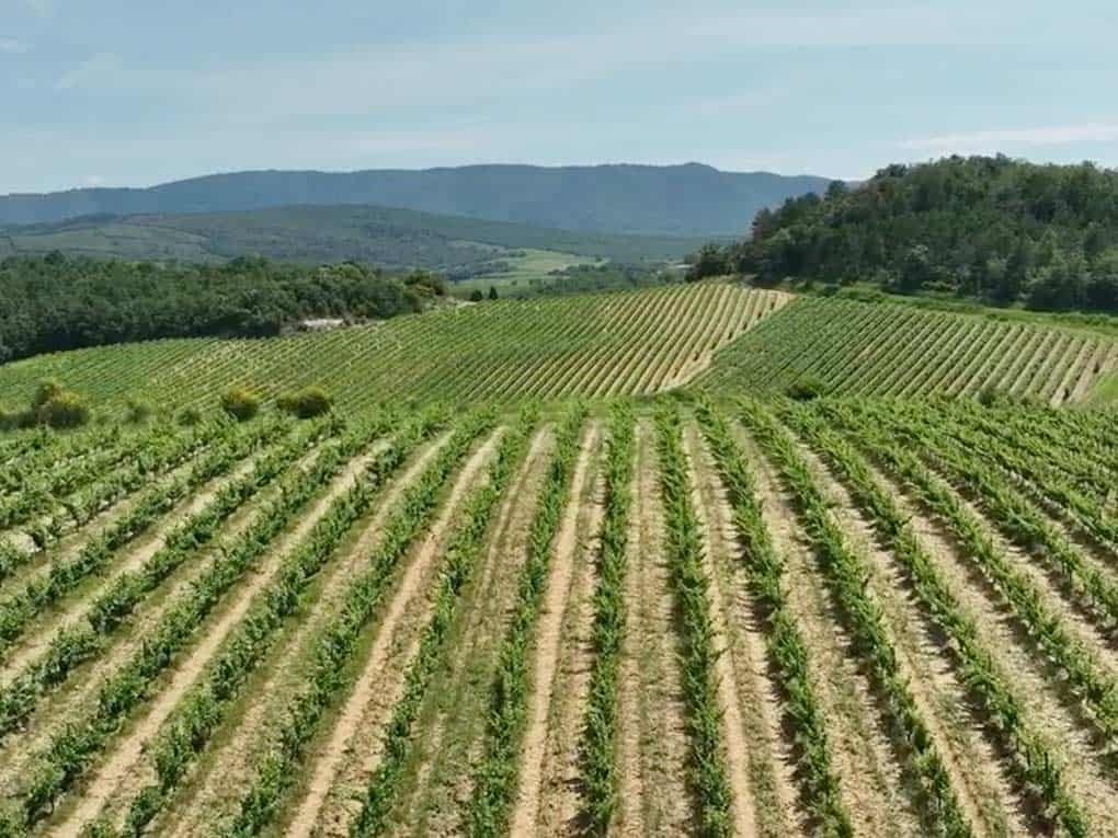 Domaine Garrabou