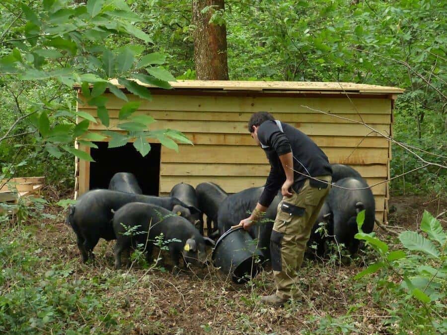 Ferme de la Bracadelle