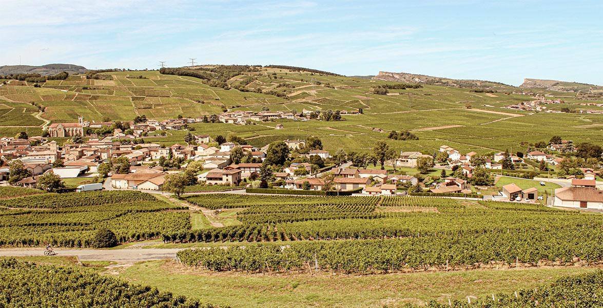 Domaine Gilles Noblet