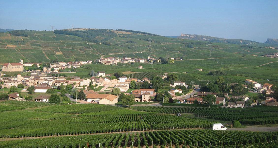 Domaine Gilles Noblet