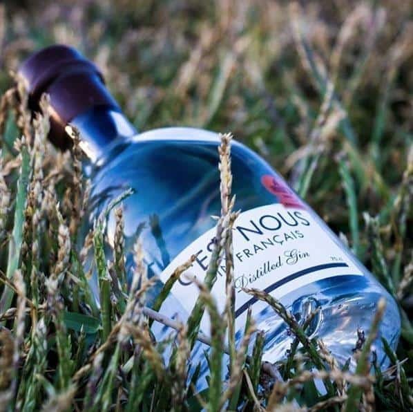 Gin C'est Nous