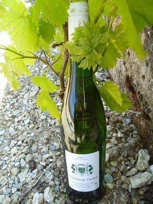 Château Bouscaillous