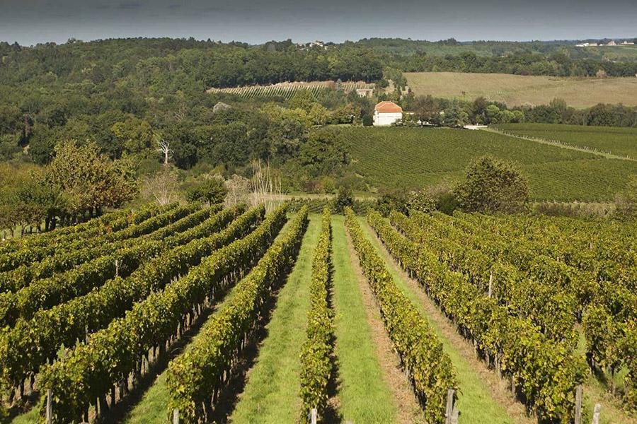 Château des Rochers
