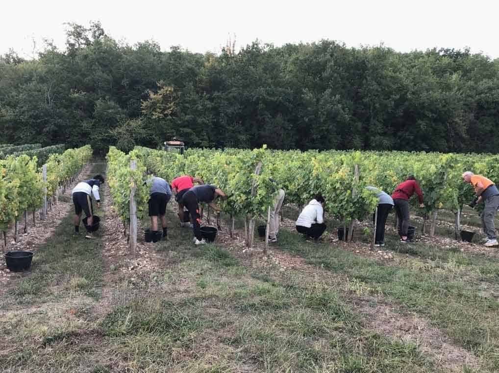 Domaine de la Bérangeraie